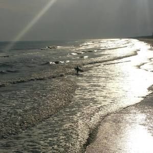 Meet your Posher, Carol